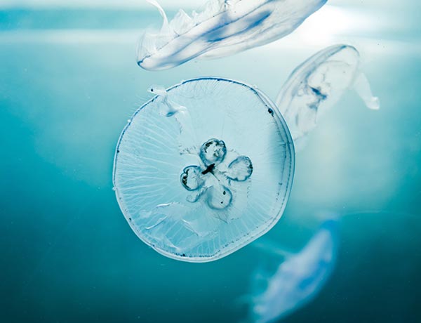 willian justen de vasconcellos askgjaeiy u unsplash.jpg